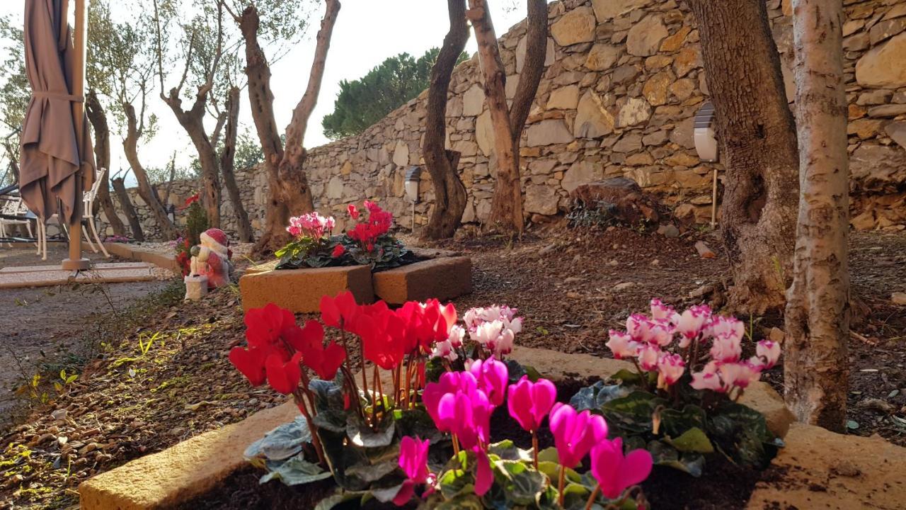 Poggio Degli Ulivi *