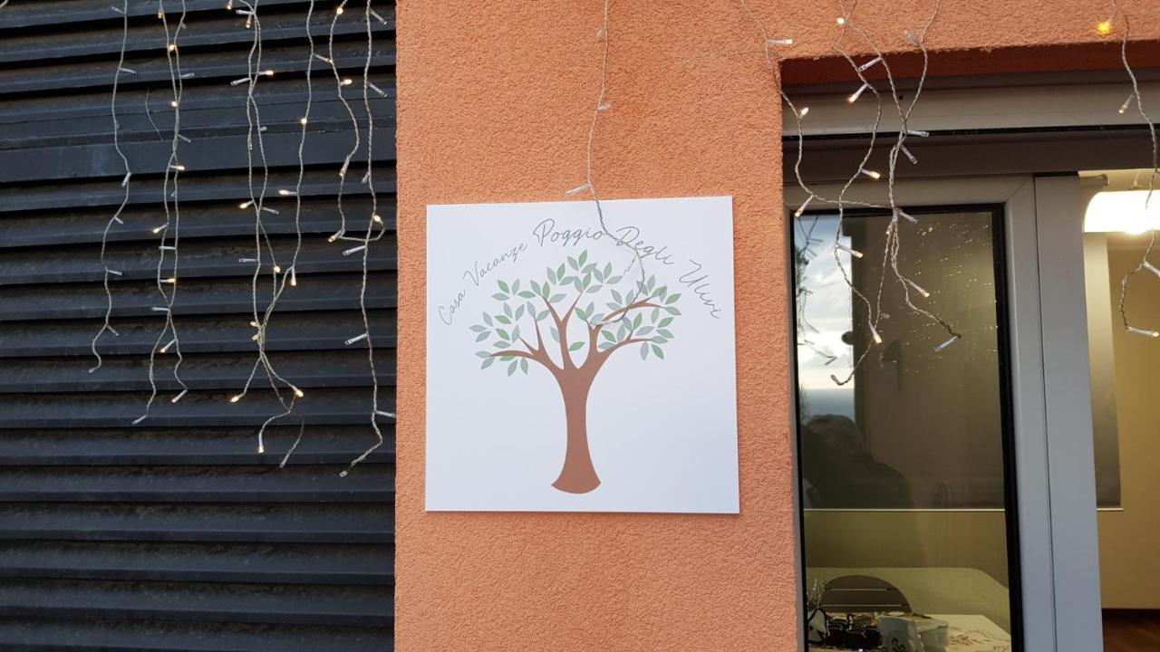 Apartment Poggio Degli Ulivi
